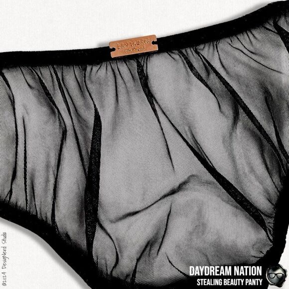 DAYDREAM NATION STEALING BEAUTY PANTY IN SHEER BLACK MESH SIZE LARGE RUCHED BACK - Picture 8 of 13